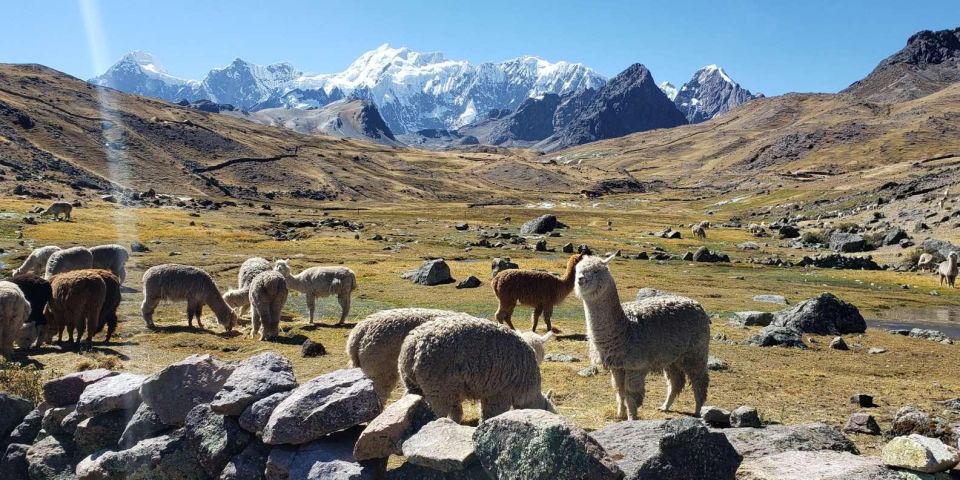 Ausangates Hike - Seven Glacial Lakes - Meals and Dietary Options
