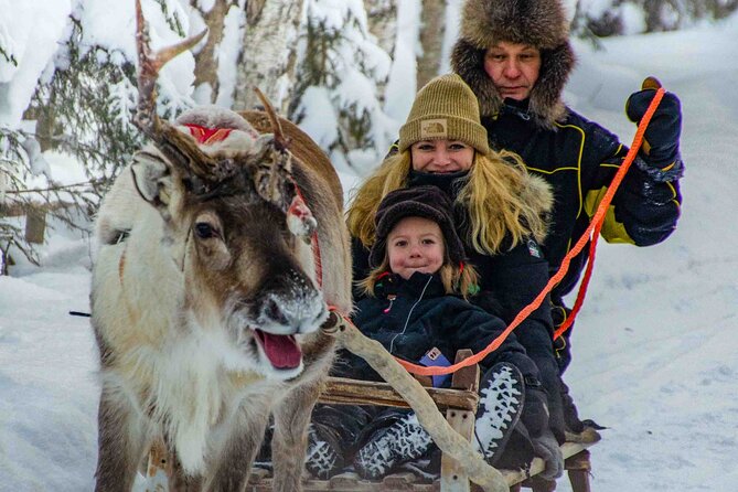 Authentic Reindeer Farm Experience in Rovaniemi - Customer Experiences