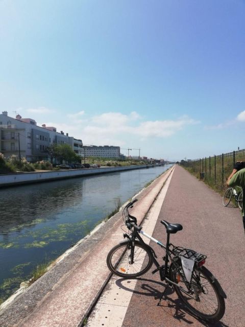 Aveiro: City of Canals Bike Tour - Suitability and Mobility