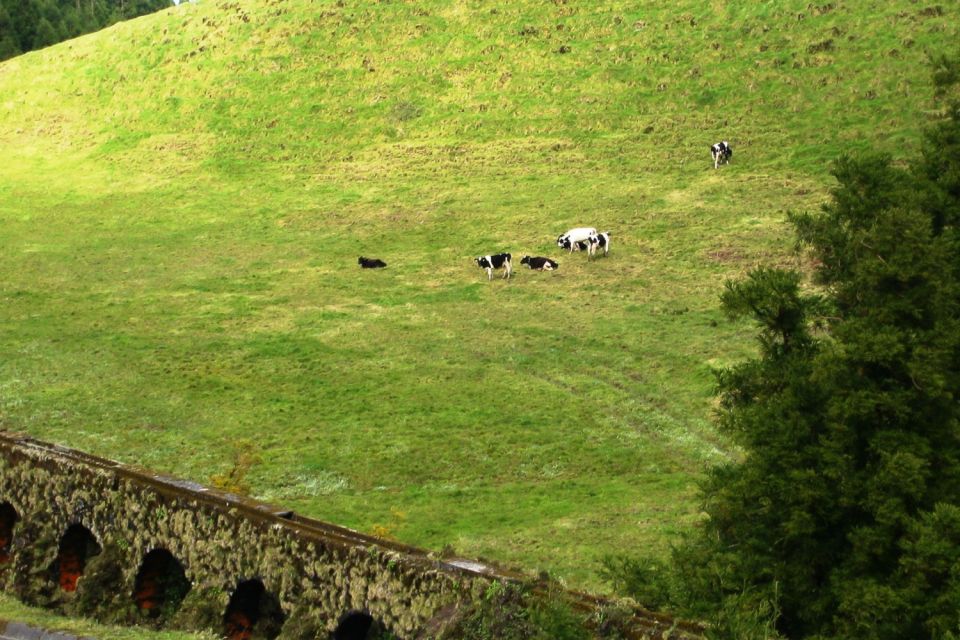 Azores: Sete Cidades Scenic Jeep Tour From Ponta Delgada - Taking in Islands History