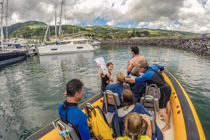 Azores Swim With Dolphins Atlantic Experience - Customer Reviews