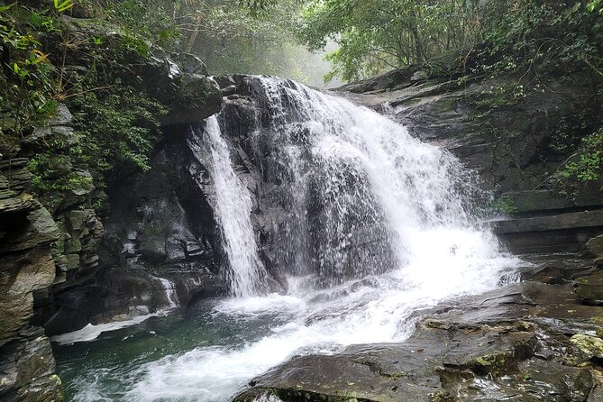 Bach Ma National Park Trekking Daily Tour From Hue - Experiencing Local Cuisine and Culture