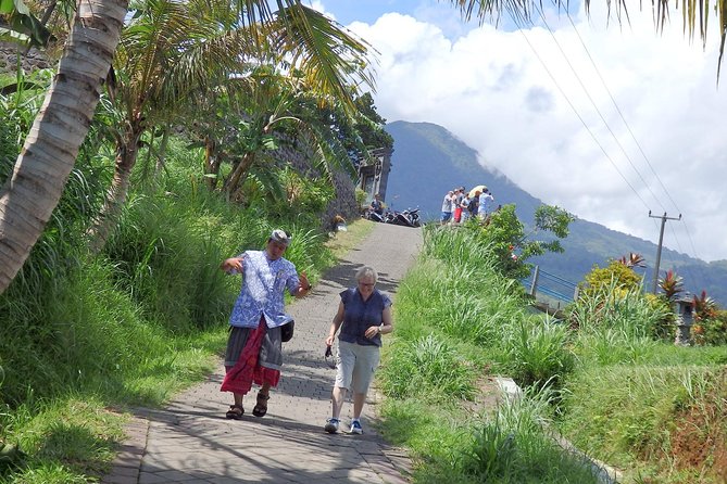 Bali as You Wish Tour Guided by AGUS - Balis Captivating Destinations