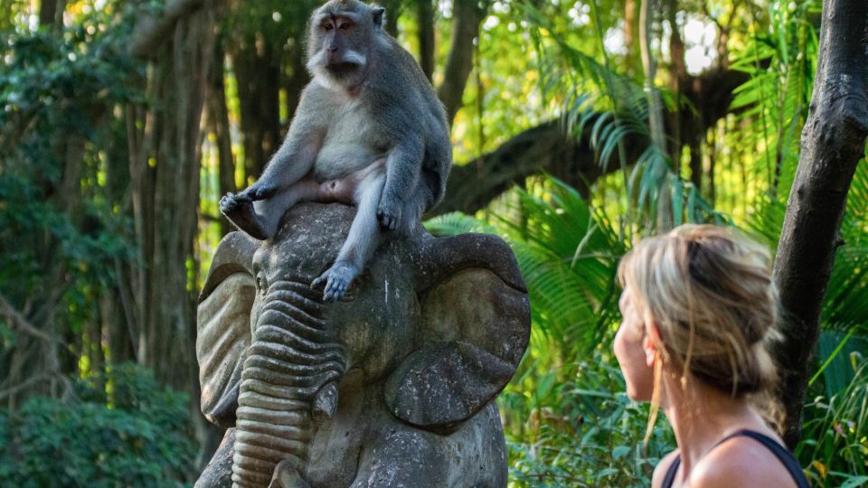 Bali: Best Sunrise Spots & Ubud Monkey Forest Private Tour - Itinerary