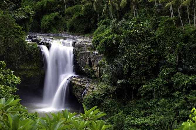 Bali Breathtaking Waterfall Tour (Private & All-Inclusive) - Waterfall Highlights