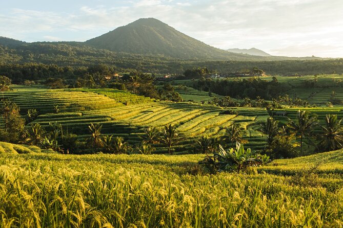 Bali Charm: Full-Day Bedugul and Tanah Lot Tour (UNESCO) - All Inclusive Tickets - Booking and Cancellation Policy