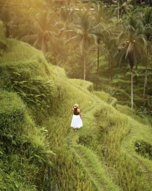 Bali: Day Trip to the Gate of Heaven, Waterfall, Rice Terraces and More - Tegalalang Rice Terraces Panorama