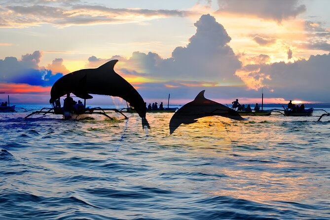 Bali Dolphin Watching Sunrise Tour in Lovina Beach - Booking Process