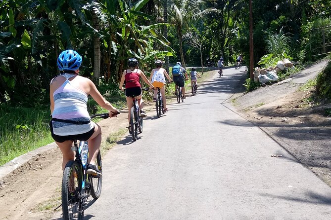 Bali Downhill Natural Cycling Tour & Visit Volcano - Booking Process