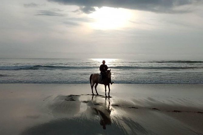 Bali Horse Riding in Seminyak Beach Private Experiance - Pricing Details and Options