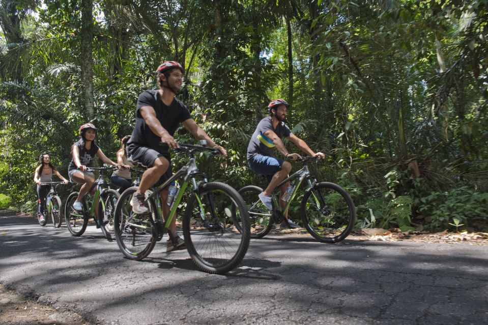 Bali: Mountain Bike Tour and River Rafting With Lunch - Lunch at Koko Bambu Restaurant