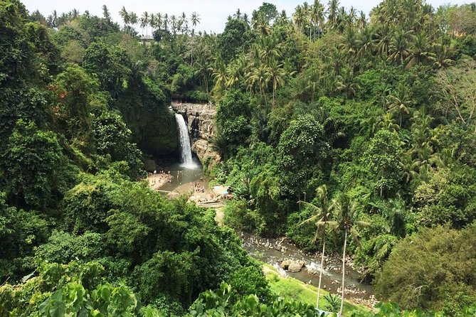 Bali Night Market Experience and Ubud Highlights Tour - Accessibility Information