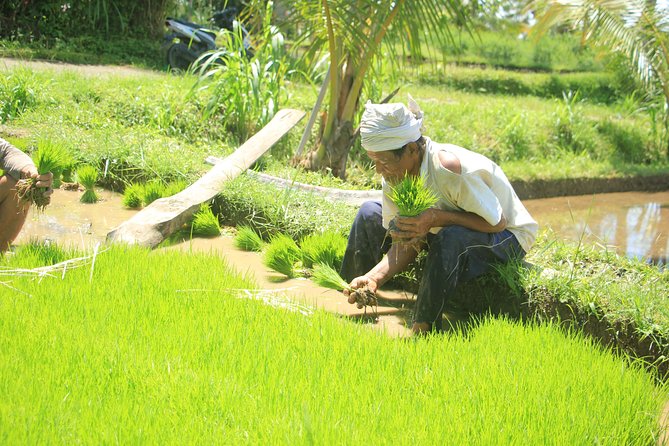 Bali Quad and Buggy Discovery Tour, Including Round-Trip Transfer - ATV Adventure Experience