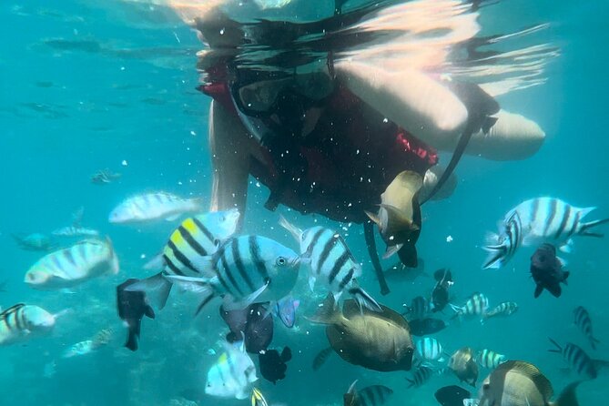 Bali Snorkeling at Blue Lagoon With Lunch And Private Transport - Booking and Cancellation