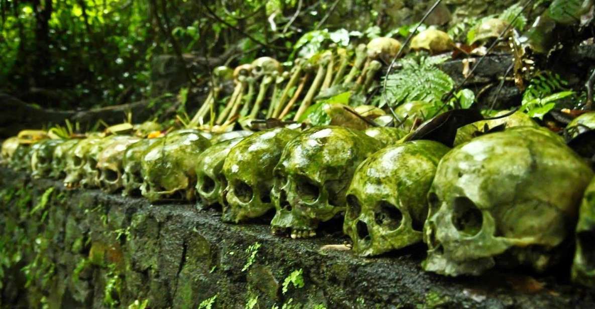 Bali: Trunyan Cemetery, Hot Springs, and Penglipuran Village - Penglipuran Traditional Village