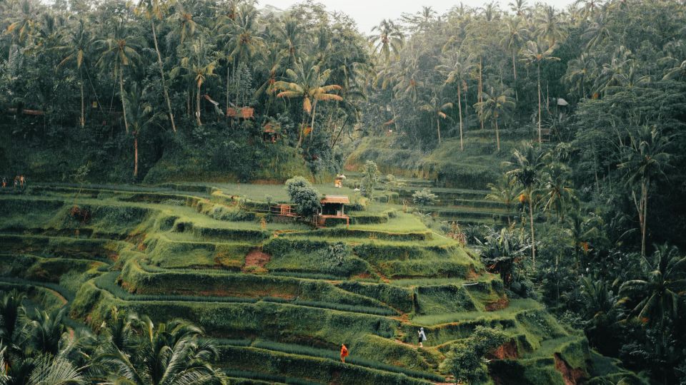 Bali: Ubud Rice Terraces, Monkey Forest & Waterfall Tour - Lunch at Local Restaurant