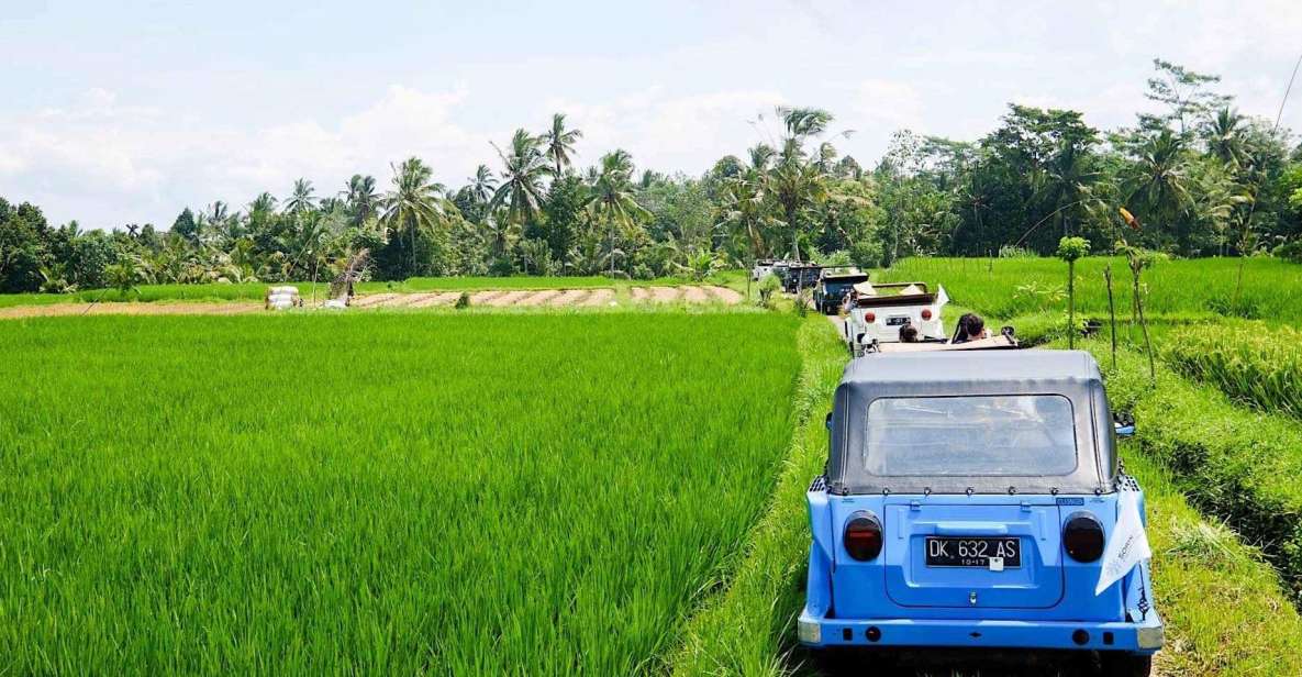 Bali: Vintage VW Jeep Countryside Safari - Frequently Asked Questions