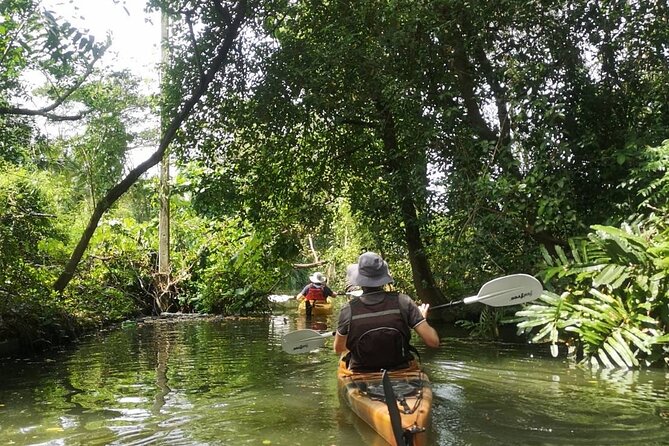 Bangkok Tour by Boat and Bike - Tips for a Great Experience