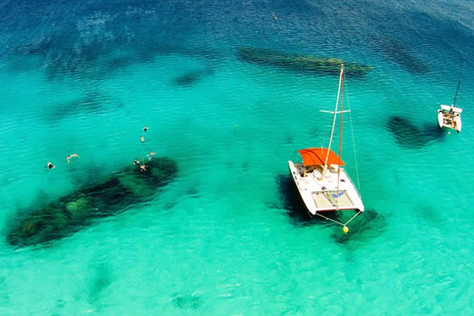 Barbados Catamaran Turtle Snorkel With Open Bar - What to Bring