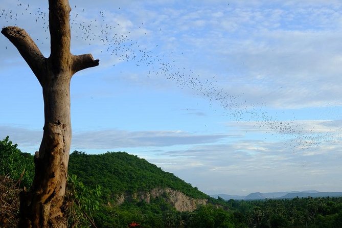 Battambang Full Day Tour From Siem Reap - Bamboo Train, Killing Cave & Sunset - Local Market Exploration