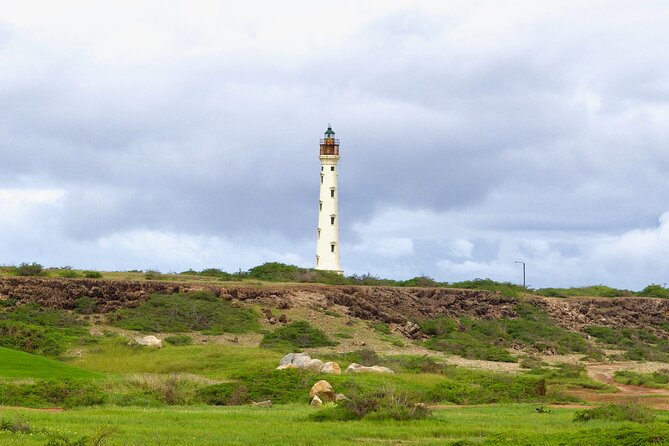 Beach Lovers and Off-Road Adventure - Traveler Experiences and Feedback