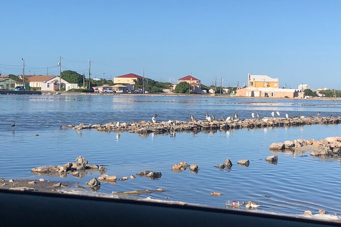 Beach Trail and Swim. Cockburn Town, Grand Turk, Turks and Caicos - Common Issues Encountered