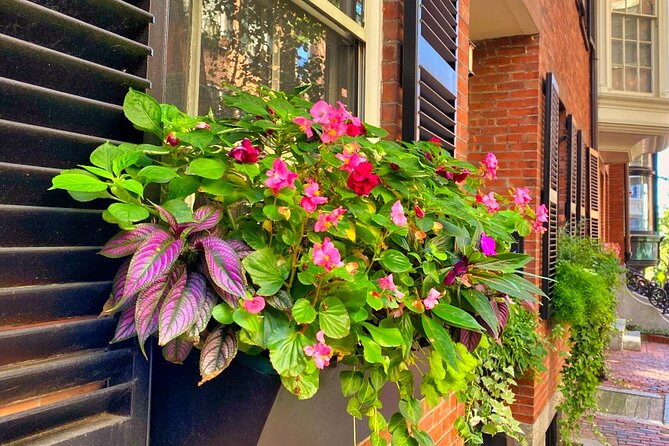 Beacon Hill Boston History + Photo Walking Tour (SMALL Group) - Participant Experiences and Feedback