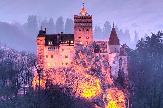 Bears Sanctuary, Draculas Castle, Brasov Day Trip Private Tour From Bucharest - Discovering Brasov