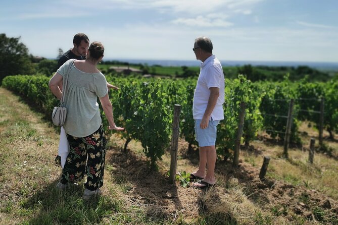 Beaujolais Wine Tasting Day Tour From Lyon - Booking and Cancellation Policy