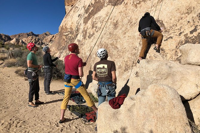 Beginner Group Rock Climbing in Joshua Tree National Park - Fitness Level Considerations