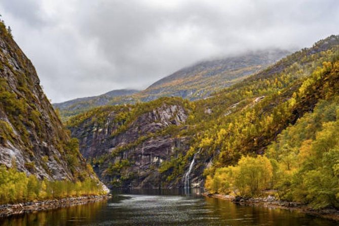 Bergen: Mostraumen Fjord Cruise - Customer Reviews and Ratings