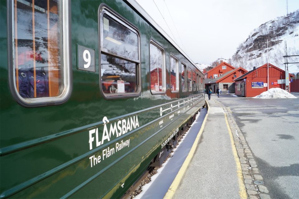 Bergen: Private Day Tour, Nærøyfjord Cruise and Flåm Railway - Customer Reviews