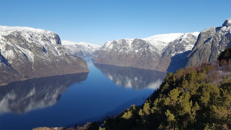 Bergen: RIB Sognefjord Safari and Flåm Railway Private Tour - Participant Information