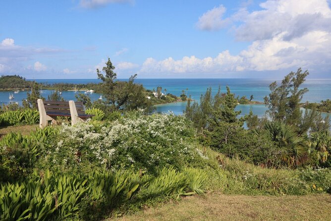 Bermudaful Half Island Tour - Guest Experiences and Feedback