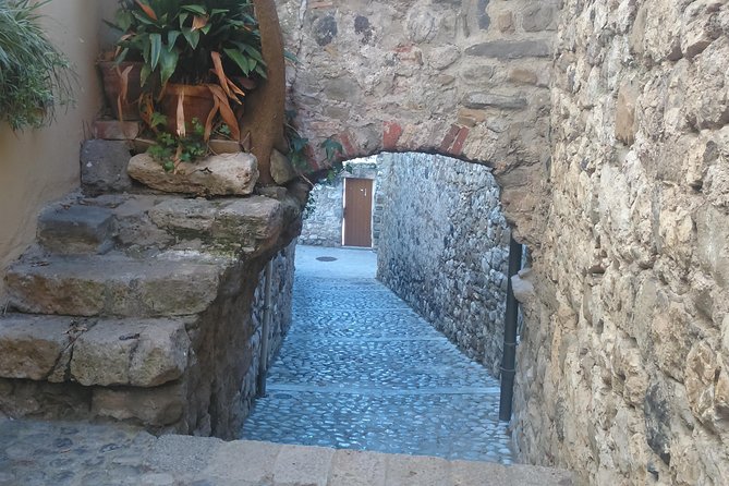 Besalu,Banyoles Lake & Garrotxa Volcanoes Small Group From Girona - Garrotxa Volcanoes Experience