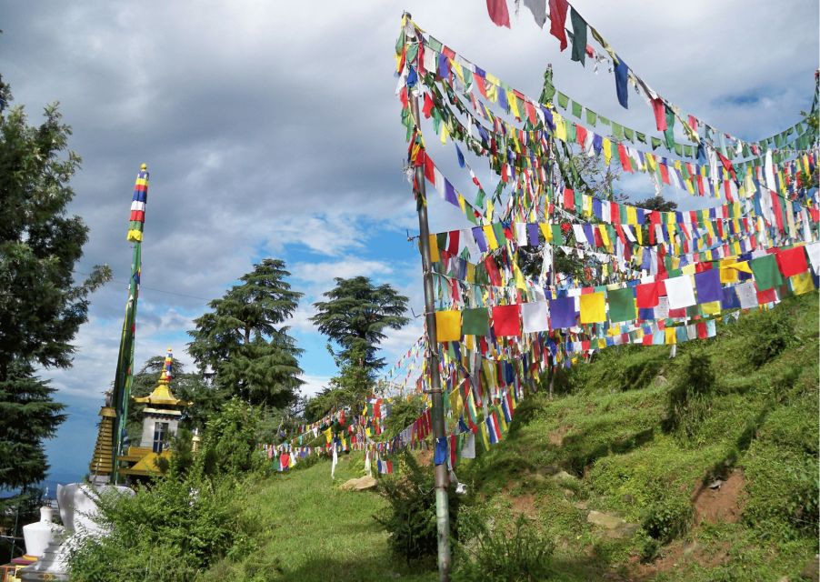 Best of Dharamshala With a Local - Full Day Guided Tour - What to Expect