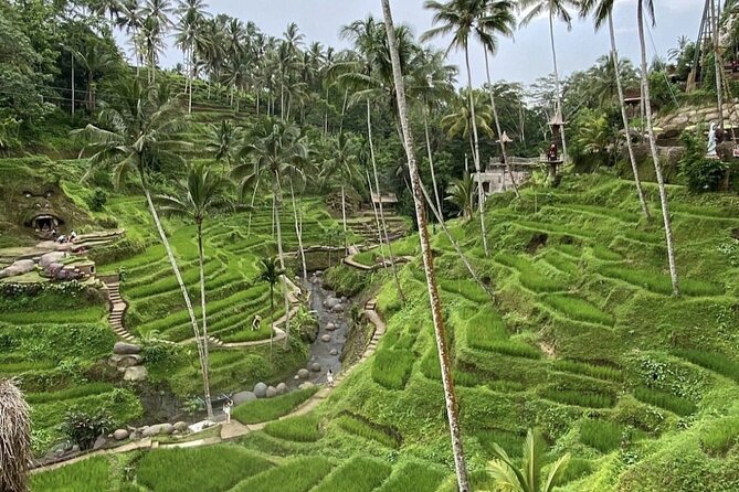 Best of Instagram Tour: Gate of Heaven, Tirta Gangga, Bali Swing - Tegalalang Rice Terrace