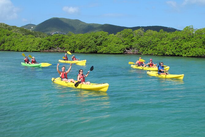 Best of Mangrove Lagoon Kayak, Hike and Snorkel Adventure With Picnic Lunch - Mangrove Ecosystem and Volcanic Cliffs