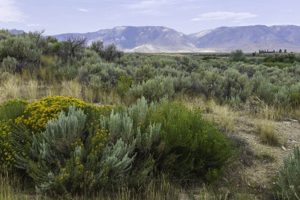 Big Sky Self-Guided Driving Tour - Shedhorn Fire and Deer Creek