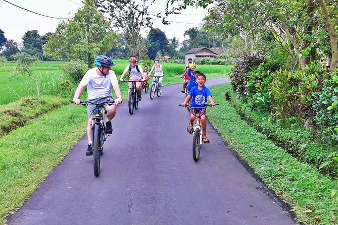 Bike Ride in the Rice Fields, Bali Countryside - Booking Confirmation Process