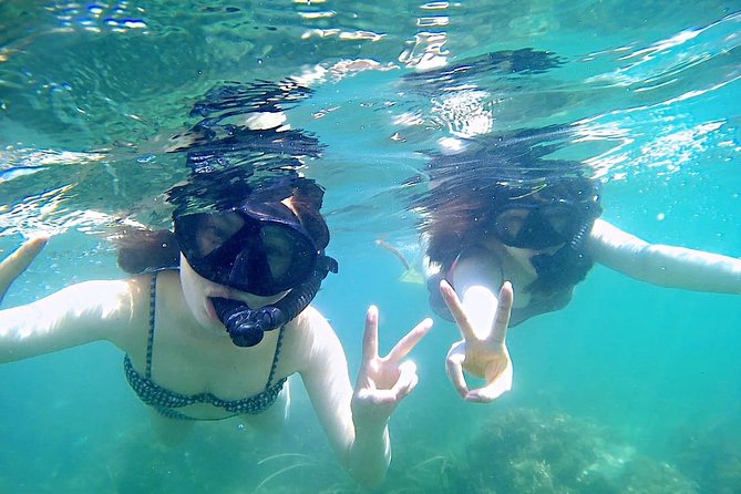 Bintan Snorkeling Tour - Marine Life Exploration