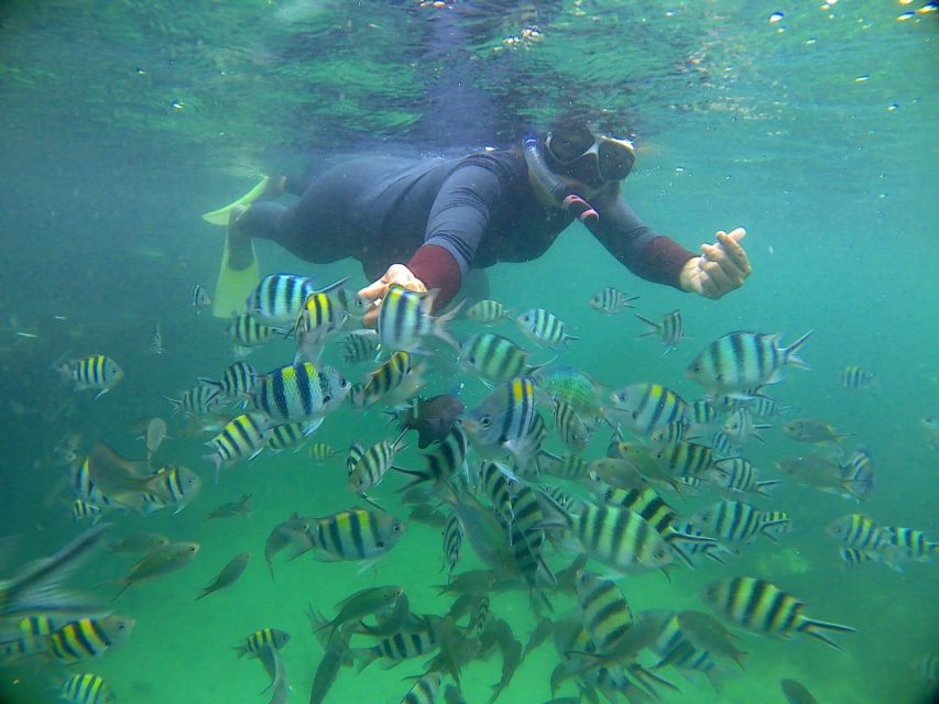 Bintan Snorkeling - Kayaking Experience