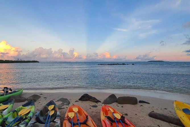 Bioluminescent Bay Night Kayaking | 7:30pm - Customer Experiences and Feedback