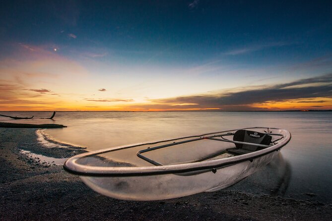 Bioluminescent Clear Kayak Tours in Titusville - What to Expect on the Tour