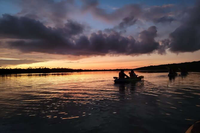 Bioluminescent Glowing Bay Kayaking Adventure in Puerto Rico - What to Expect on Tour