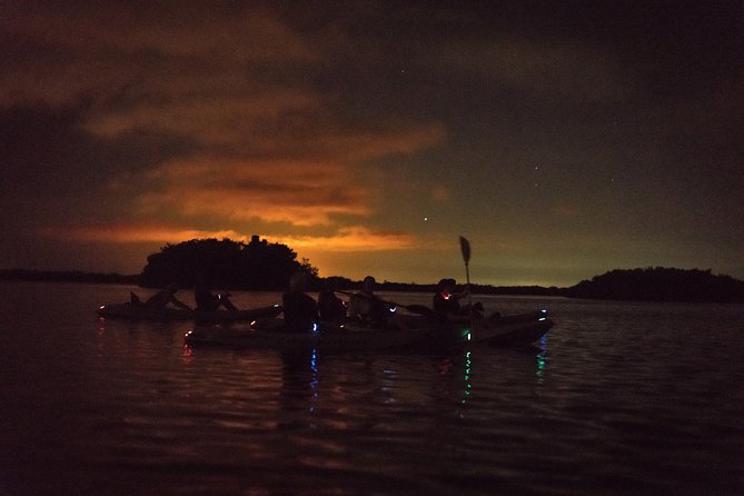 Bioluminescent Kayak Tour by THE #1 Rated Company in Cocoa Beach - What to Expect on the Tour