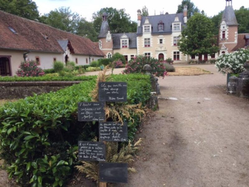 Blois: Exclusive Wine Tasting in Cheverny and Cour Cheverny - Educational Insights