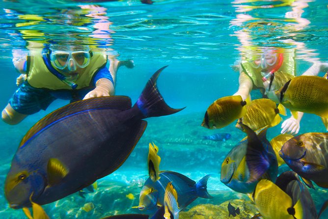 Bloo Lagoon Snorkeling East Bali Includes Transportation & Lunch - Pricing Information
