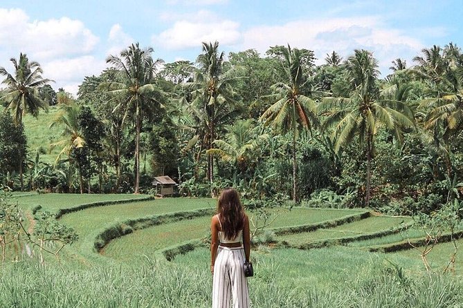 Blue Lagoon Snorkeling - Jungle Swing - Ubud - All Inclusive - Pricing and Cancellation Policy