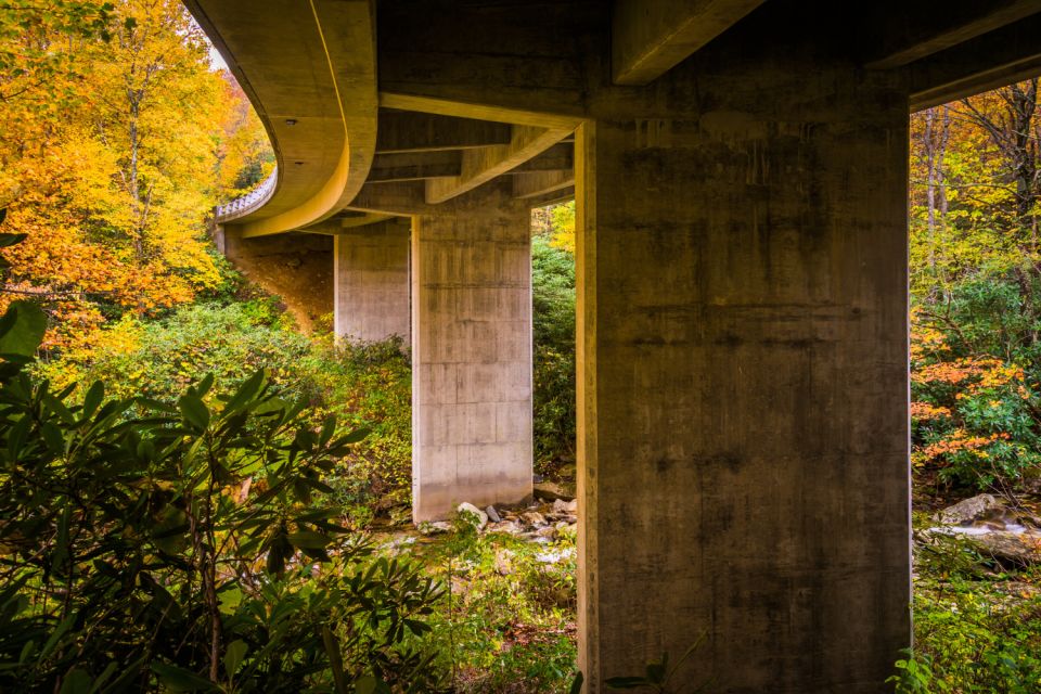 Blue Ridge Parkway – Driving Audio Tour (Roanoke ↔ Afton) - Untouched Natural Beauty of Ballhoot Scar